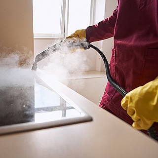 Steam Cleaners