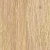 Amber Oak Amber Oak