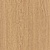 Windsor Oak Windsor Oak