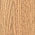 Australian Chestnut Australian Chestnut
