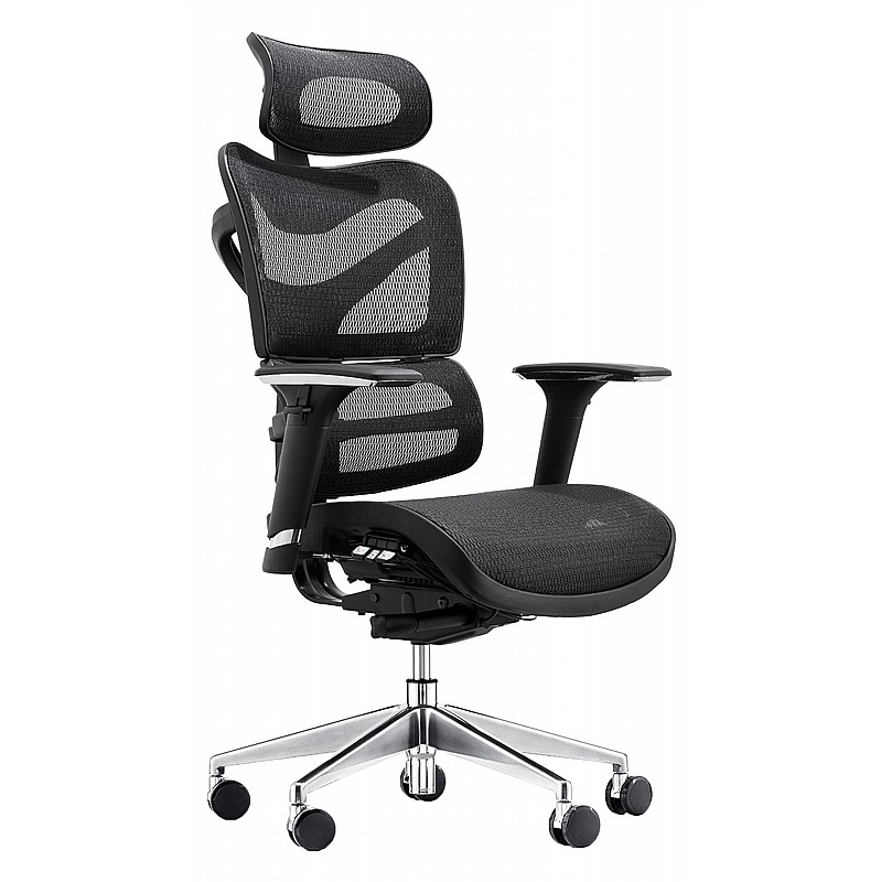 Dorsum Heavy Duty Ergonomic Mesh Office Chair - Office Furniture