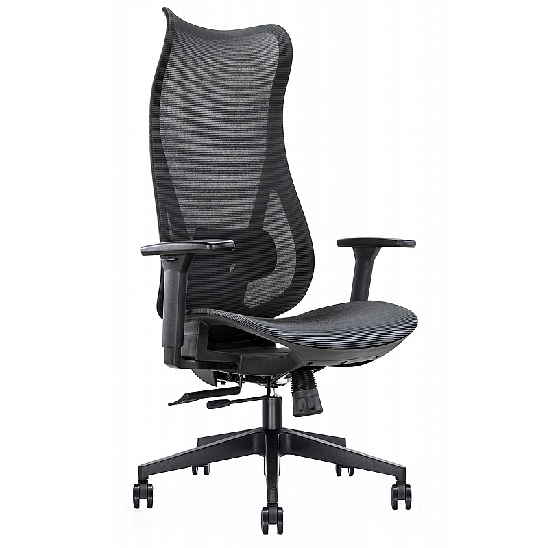 Mala Extra High Back Ergonomic Mesh Office Chair - Office Furniture