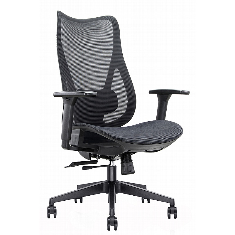 Mala Ergonomic Mesh Office Chair - Office Furniture