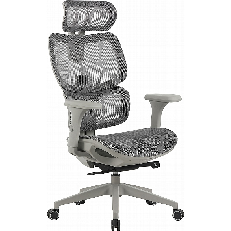 Trace All Mesh Executive Office Chair - Office Furniture