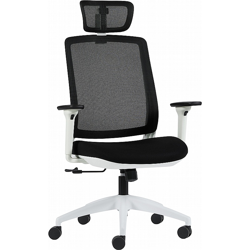 Scope Mesh Office Manager Chairs - Office Furniture