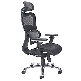 Chachi Posture Mesh Office Chair