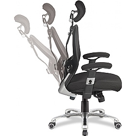 Ergo Ergonomic High Back Executive Mesh Chair