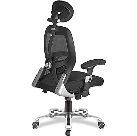 Ergo Ergonomic High Back Executive Mesh Chair