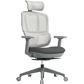 Shelby Ergonomic Mesh Office Chairs