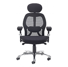 Sandro Ergonomic Mesh Office Chair