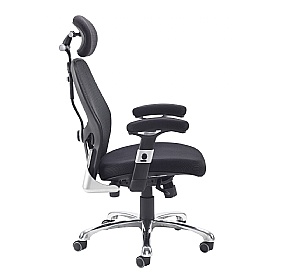 Sandro Ergonomic Mesh Office Chair