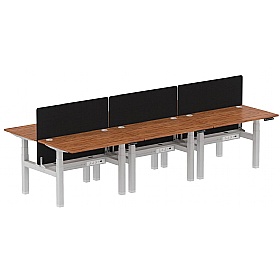 Air Electric Height Adjustable 6 Person Rectangular Back to Back Desks