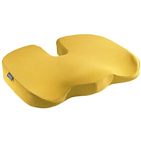 Leitz Cosy Seat Coccyx Cushion