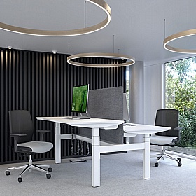 Progress Plus Electric Height Adjustable 2 Person Shallow Rectangular Back to Back Desks - Office Furniture