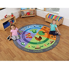 Life Cycle Carpet - Education