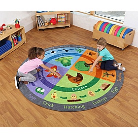 Life Cycle Carpet - Education