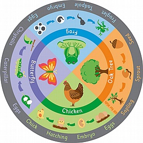 Life Cycle Carpet - Education