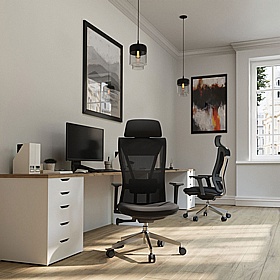 Moritz Eco-Friendly 24 Hour Ergonomic Mesh Office Chair - Office Furniture