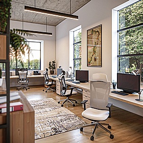 Moritz Eco-Friendly 24 Hour Ergonomic Mesh Office Chair - Office Furniture