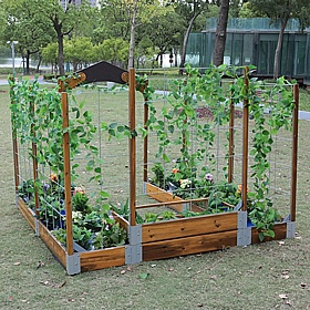 Little Garden Discovery Zone - Education