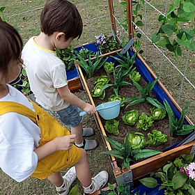 Little Garden Discovery Zone - Education