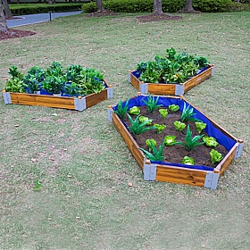 Little Garden Hexagonal Planter - Education