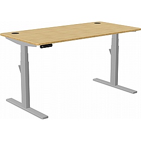 SmartLine Pro Bamboo Sit Stand Office Desks - Office Furniture