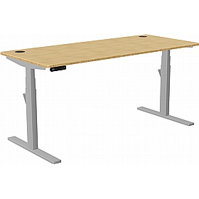 SmartLine Pro Bamboo Sit Stand Office Desks - Office Furniture