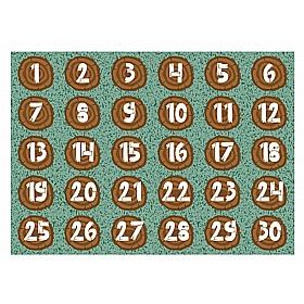 Large Numbers Log Placement Carpet - Education