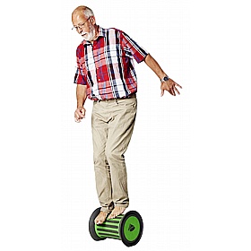 Gonge Balance and Play Weighted Roller