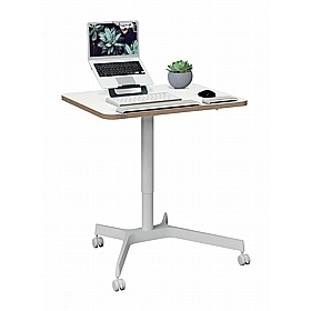 Leitz Ergo Compact Mobile Sit Stand Desk
