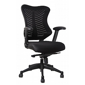Spine Mesh Office Chairs