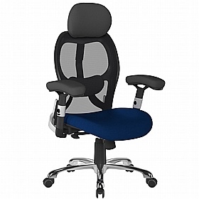 Ergo Clara 24 Hour Mesh Office Chairs