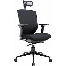 Eve 24/7 Ergonomic Fabric Executive Office Chair