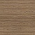 Swiss Elm Swiss Elm